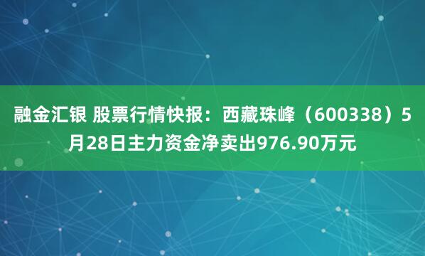 融金汇银 股票行情快报：西藏珠峰（600338）5月28日主力资金净卖出976.90万元