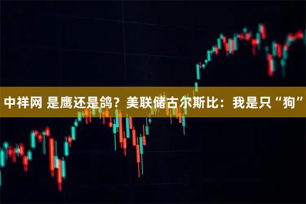 中祥网 是鹰还是鸽？美联储古尔斯比：我是只“狗”