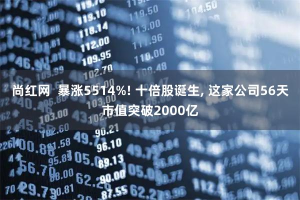 尚红网  暴涨5514%! 十倍股诞生, 这家公司56天市值突破2000亿