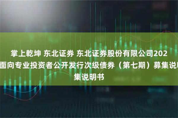掌上乾坤 东北证券 东北证券股份有限公司2025年面向专业投资者公开发行次级债券（第七期）募集说明书
