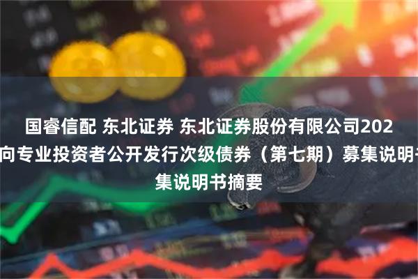 国睿信配 东北证券 东北证券股份有限公司2025年面向专业投资者公开发行次级债券（第七期）募集说明书摘要